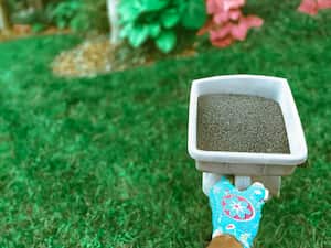 Abono para el pasto.