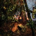 Cerca de 800 personas, entre bomberos y soldados, trabajan para controlar los incendios en los cerros orientales.