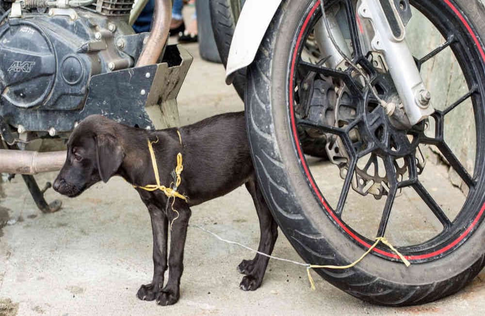 Foto: David Estrada Larrañeta