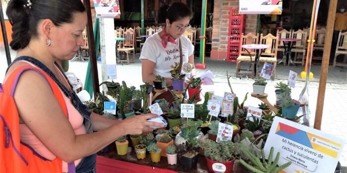 A la feria comercial en el parque de Sabaneta, Oriana María Arroyave llegó con una muestra del vivero que hace dos años se convirtió en un proyecto productivo y una muestra de su resiliencia y legado familiar.