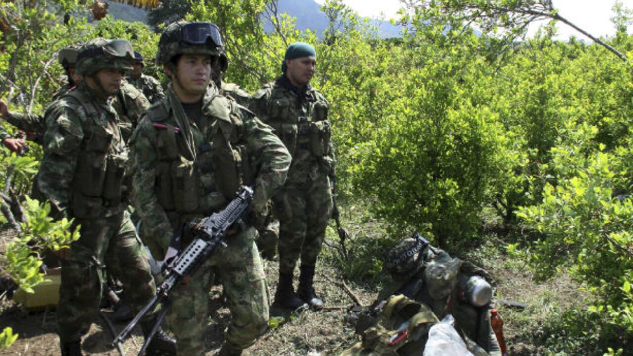 El año anterior se exterminaron 320 hectáreas de amapola y 212 de marihuana en toda Colombia.