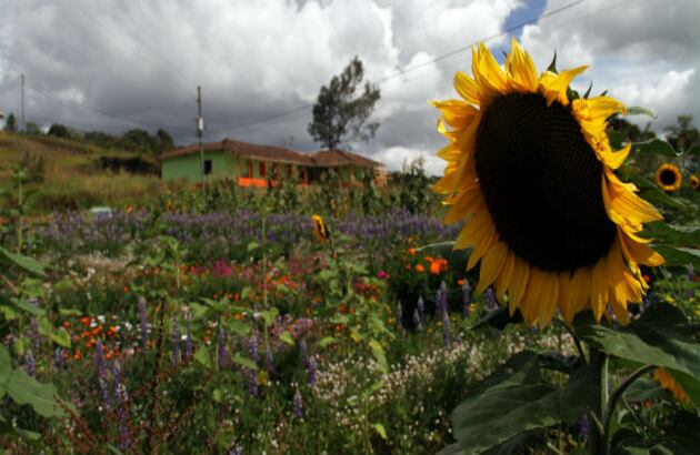 Un tiempo para el disfrute del clima, de la gente, de los colores de la naturaleza, de la música y de la cocina antioqueña. Un tiempo para la fiesta. 