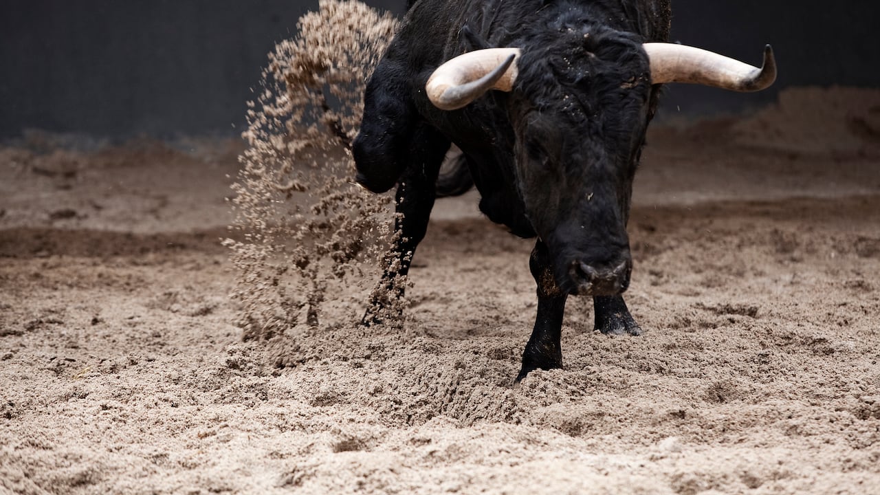 Corrida de toros.