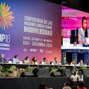ONU mujeres En la COP16
