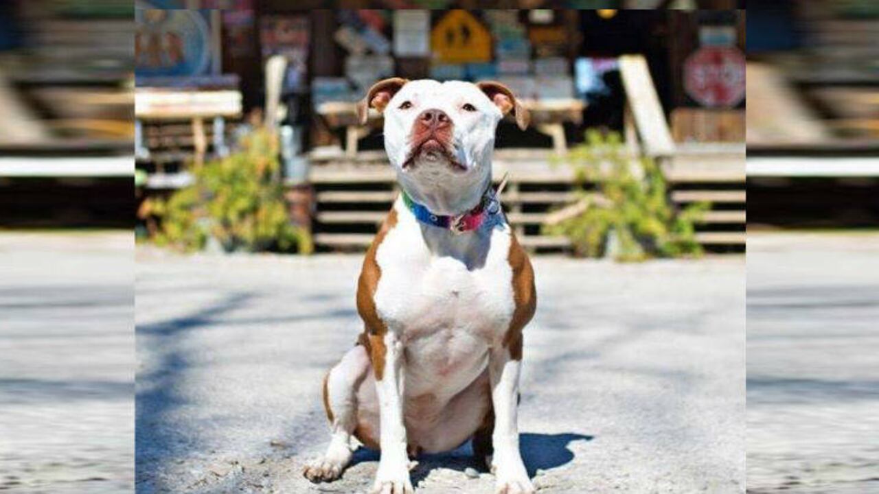 Facebook Mayor Brynn