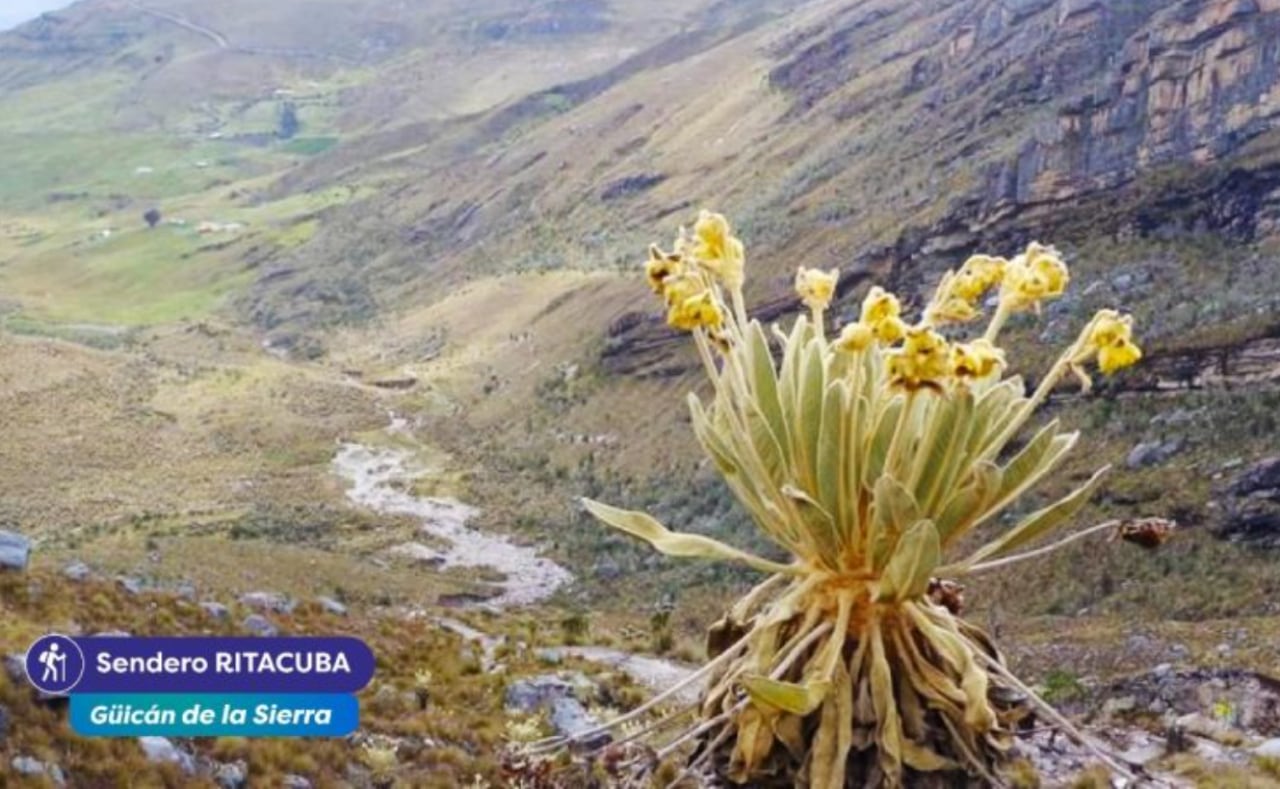 Güicán de la Sierra