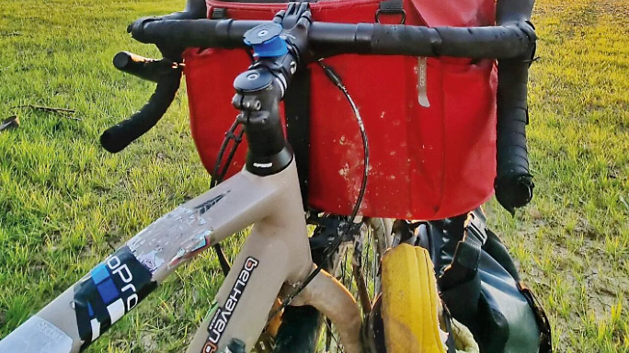 Nala la gata viajera