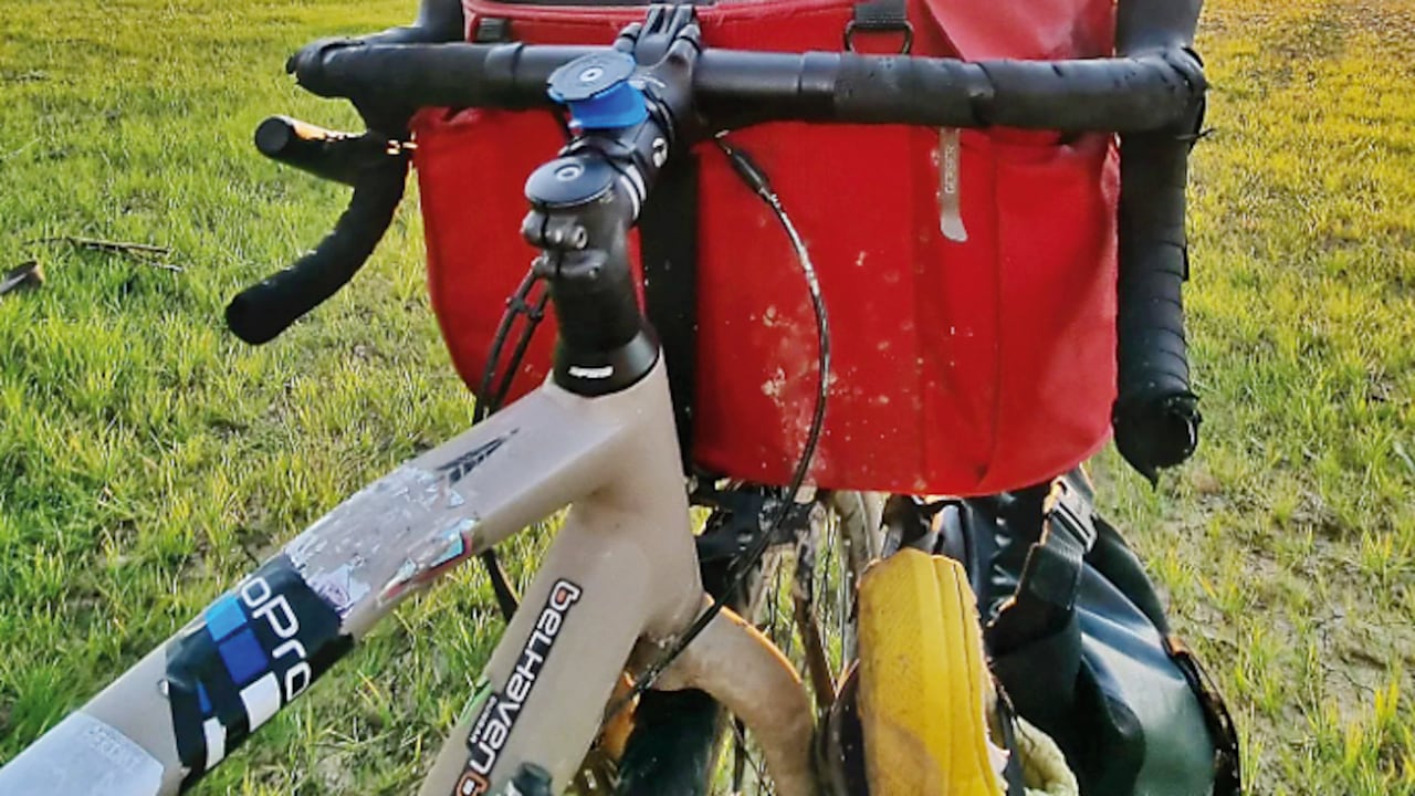 Nala la gata viajera.