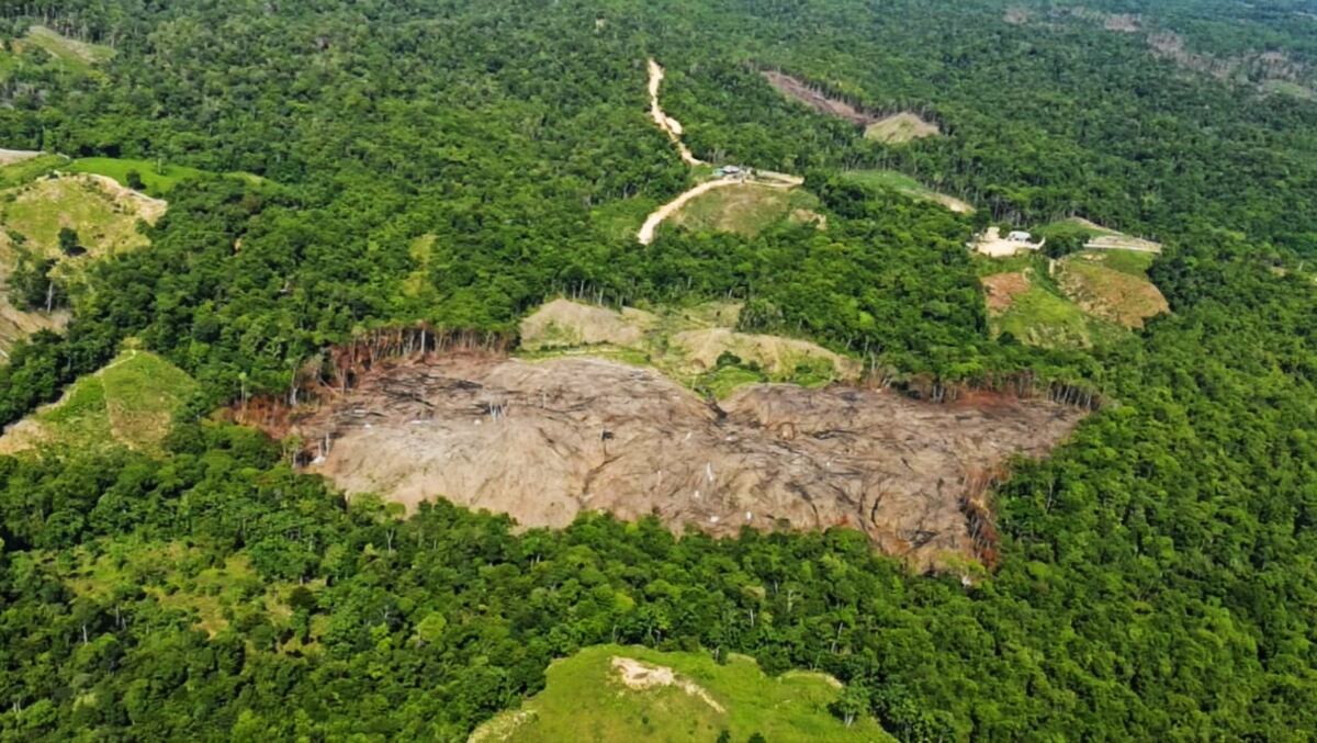 Catatumbo Barí visto desde el aire. La deforestación y los cultivos ilícitos tienen en aprietos a los bosques de esta área protegida.