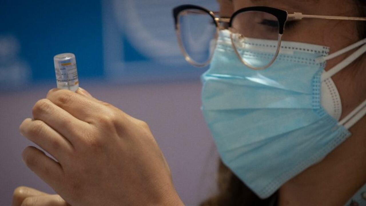 Las características de las vacunas también determinan la naturaleza de la respuesta a nivel de los anticuerpos.