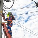 Mantenimiento red energía en Bogotá.