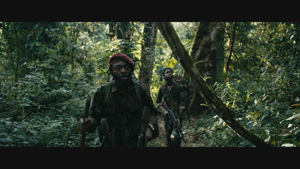 'The Mercy of the Jungle' - ciclo Que haiga paz