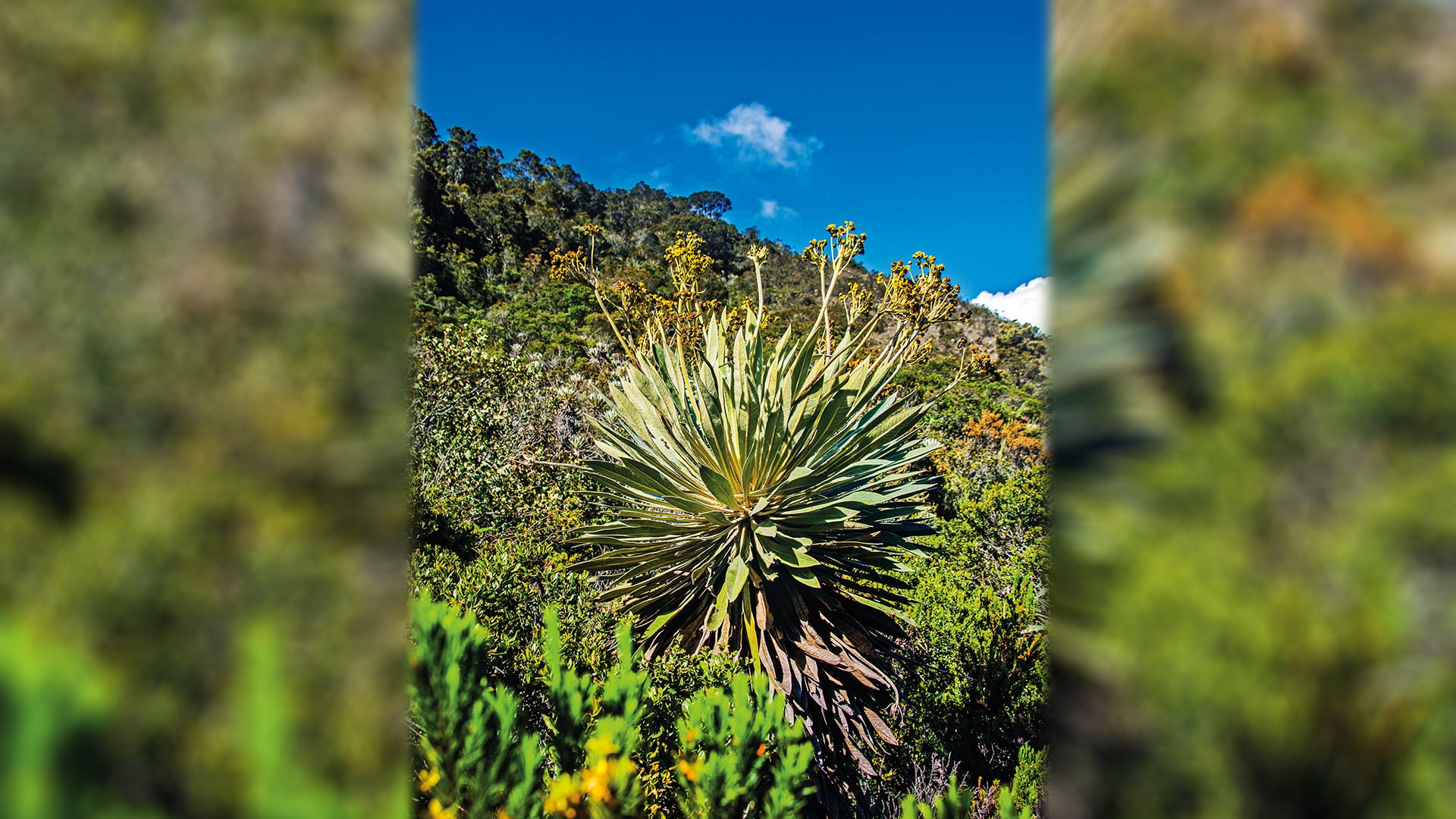 NO USAR, USO EXCLUSIVO MEJOR COLOMBIA, Especial Soacha, Turismo Sumapaz