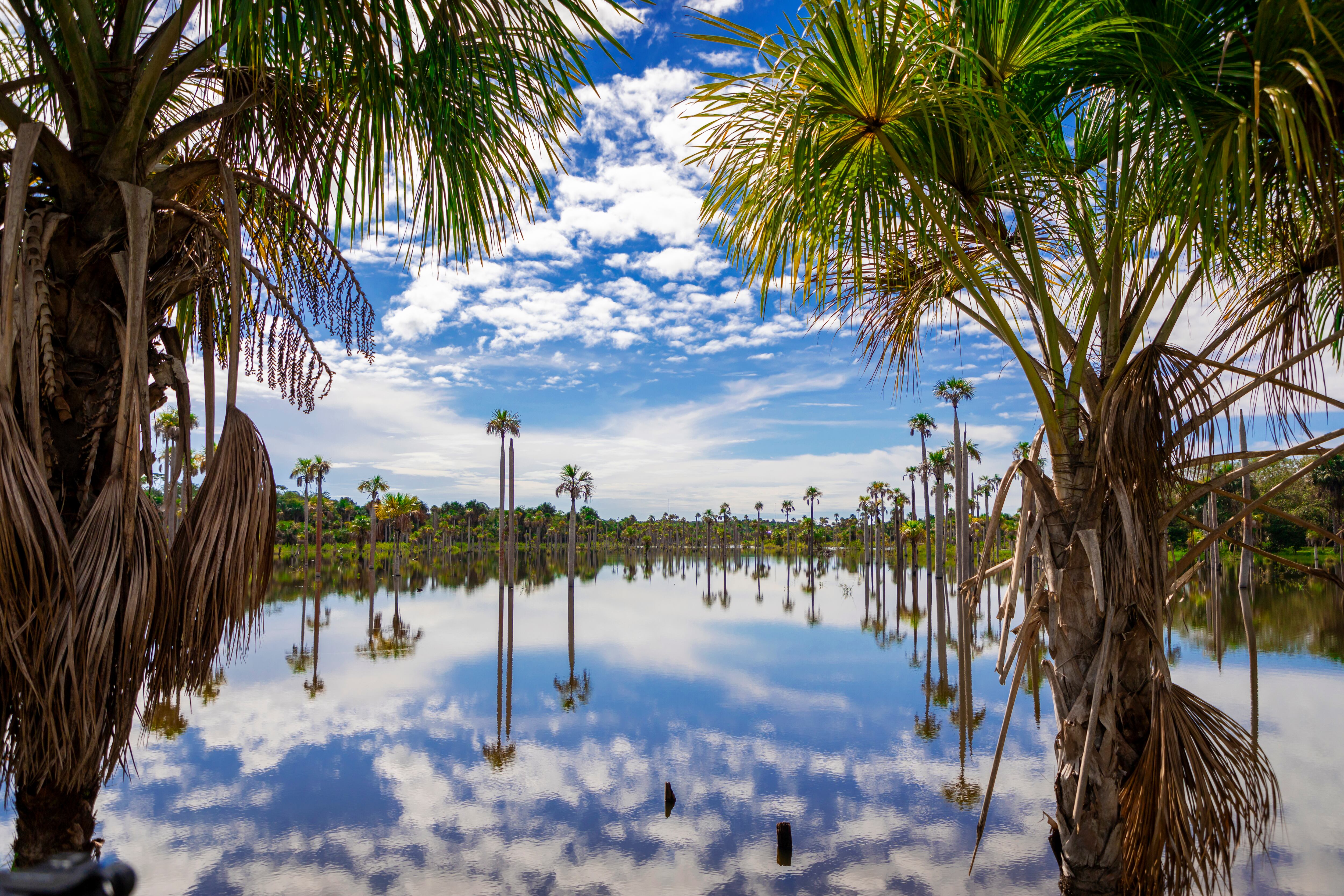 La laguna del Amor, se encuentra en el municipio Puerto Rico,  a cuatro horas de Villavicencio.