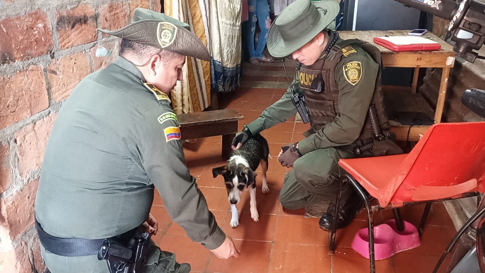 Kira, se llama la mascota que tiene año y medio.