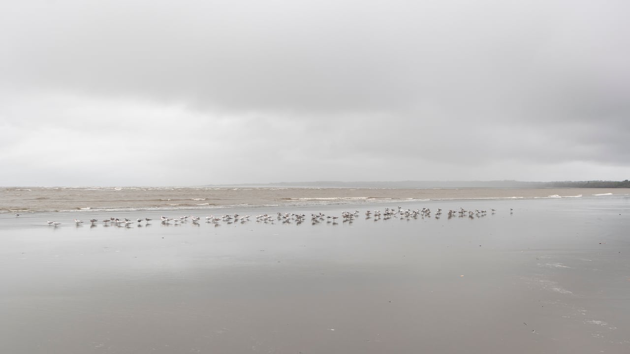 Parque Nacional Natural Uramba Bahía Málaga.