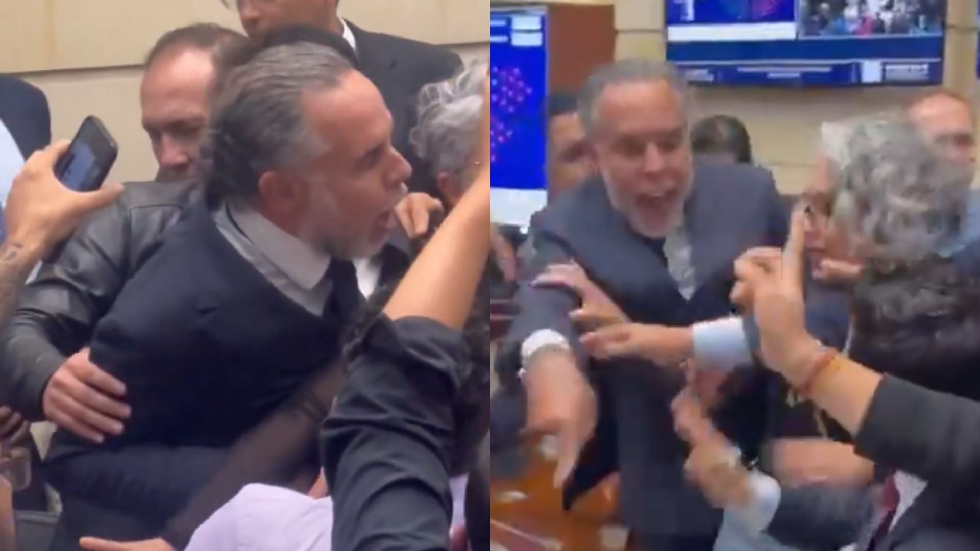 Gritos, insultos y amenazas: el escándalo de Benedetti en el Senado tras hundirse la consulta popular