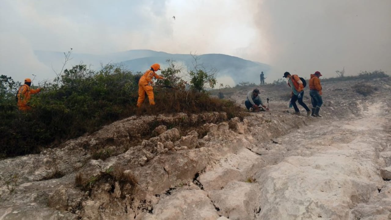 Organismos de socorro apagaron incendio forestal en la zona rural de Ábrego.