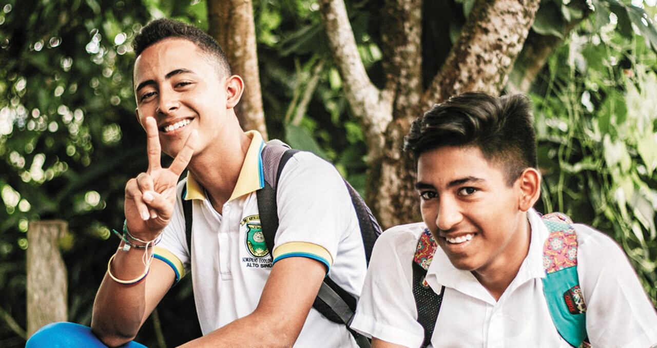 El principal objetivo de las escuelas normales es suplir la falta de docentes en colegios de ciertas regiones.</