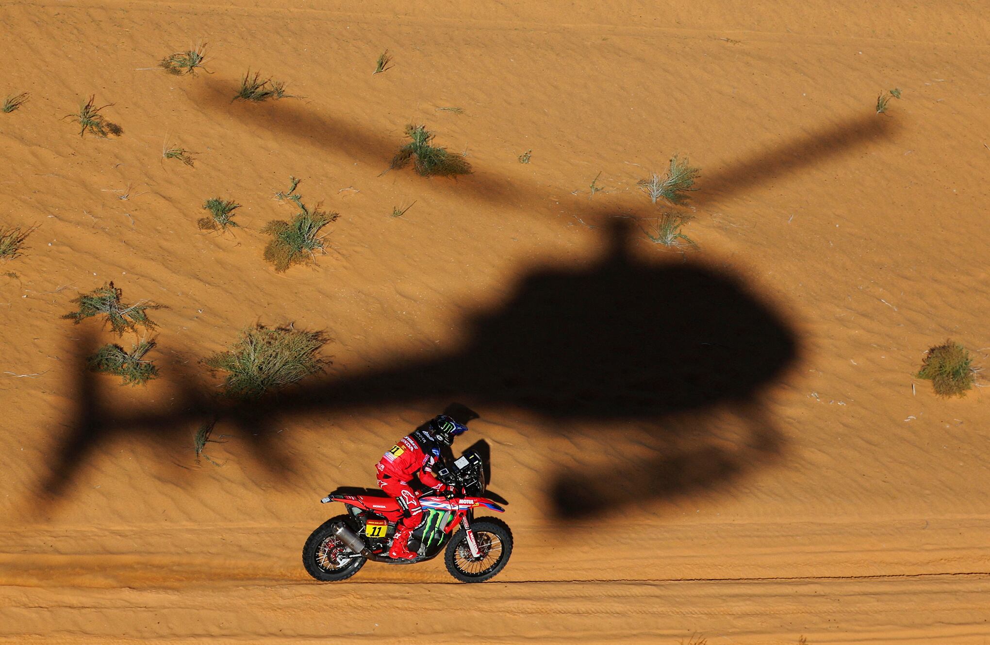 Fotos de la semana 6 enero 2023