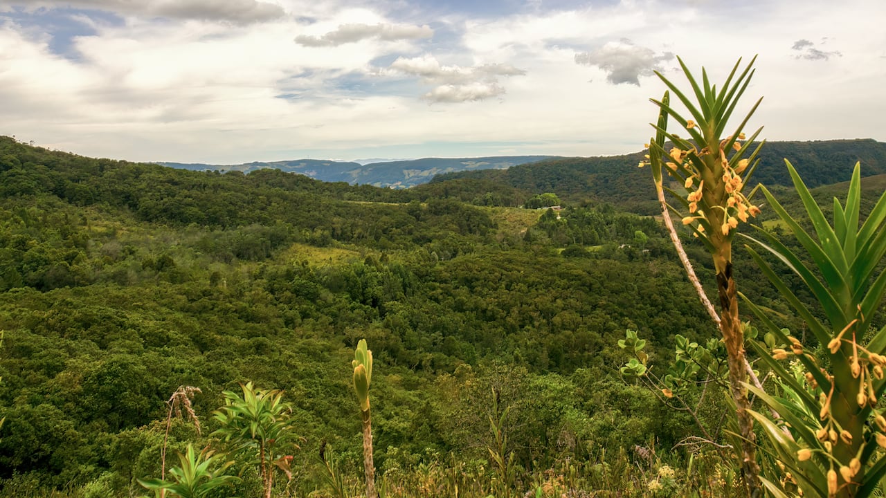 Arcabuco está rodeado de naturaleza.
