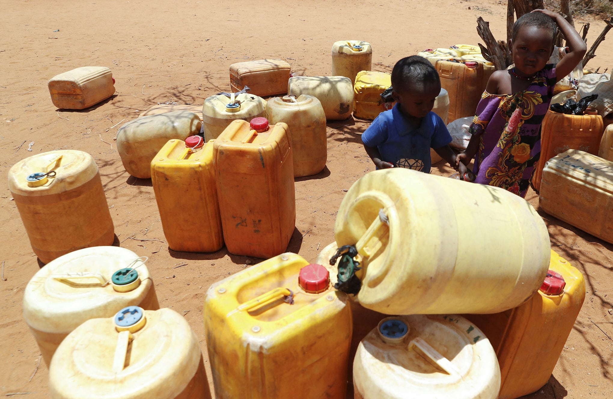 En imágenes : Kenia enfrenta una crisis de hambre mientras la sequía acaba con el ganado