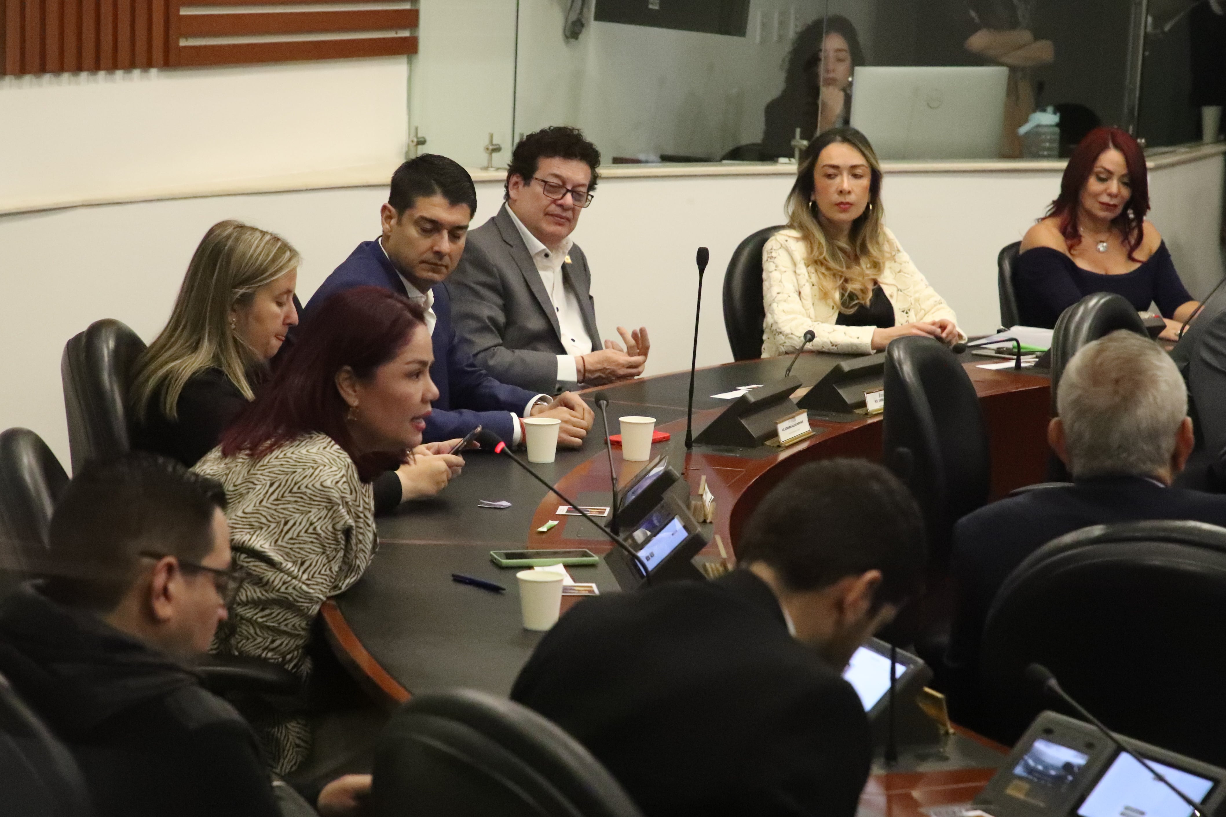 sesión en la que se conformará la nueva mesa directiva de la Comisión de Acusación de la Cámara, que actualmente investiga al presidente Gustavo Petro. La presidencia será disputada por Karime Cotes y Leonardo Gallego, del Partido Liberal.