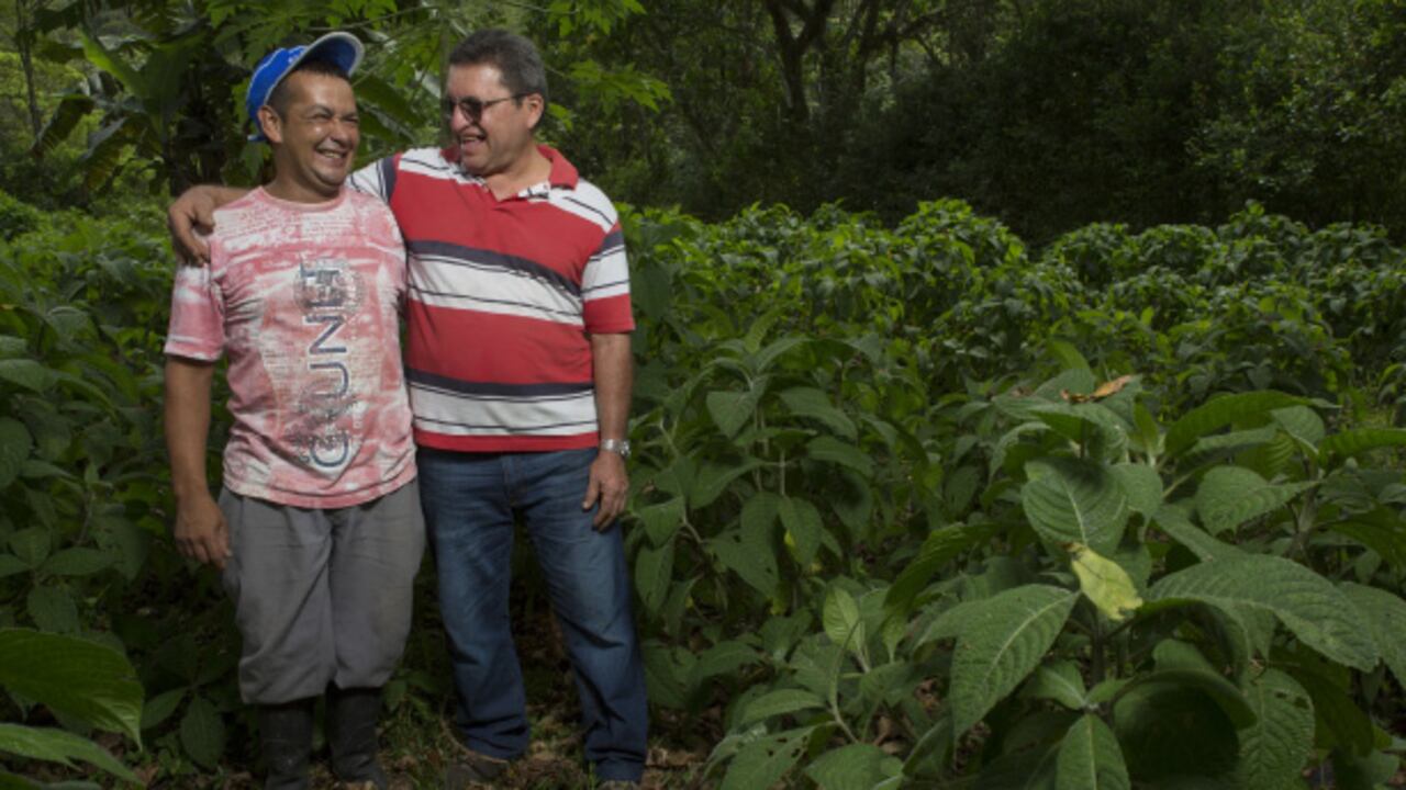 César Montealegre, finquero de Caquetá, junto a Luis Moreno, un exguerrillero del frente de las Farc que lo secuestró en 1999. Trabajan juntos hace ocho años.