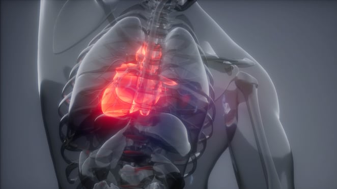 El corazón bombea 8.000 litros de sangre al día. ¿Qué tanto lo cuidamos?