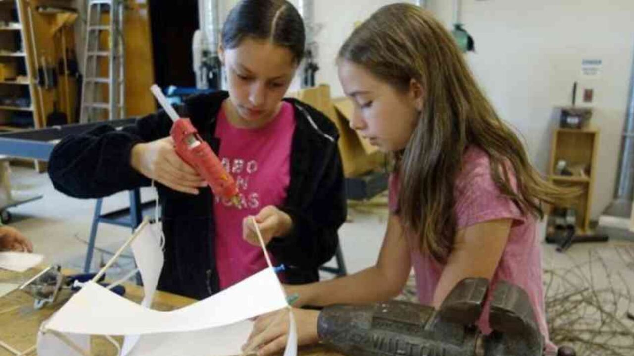 Las calificaciones que los estudiantes obtienen en sus exámenes influyen en las elecciones de carrera, pero no son el único factor.