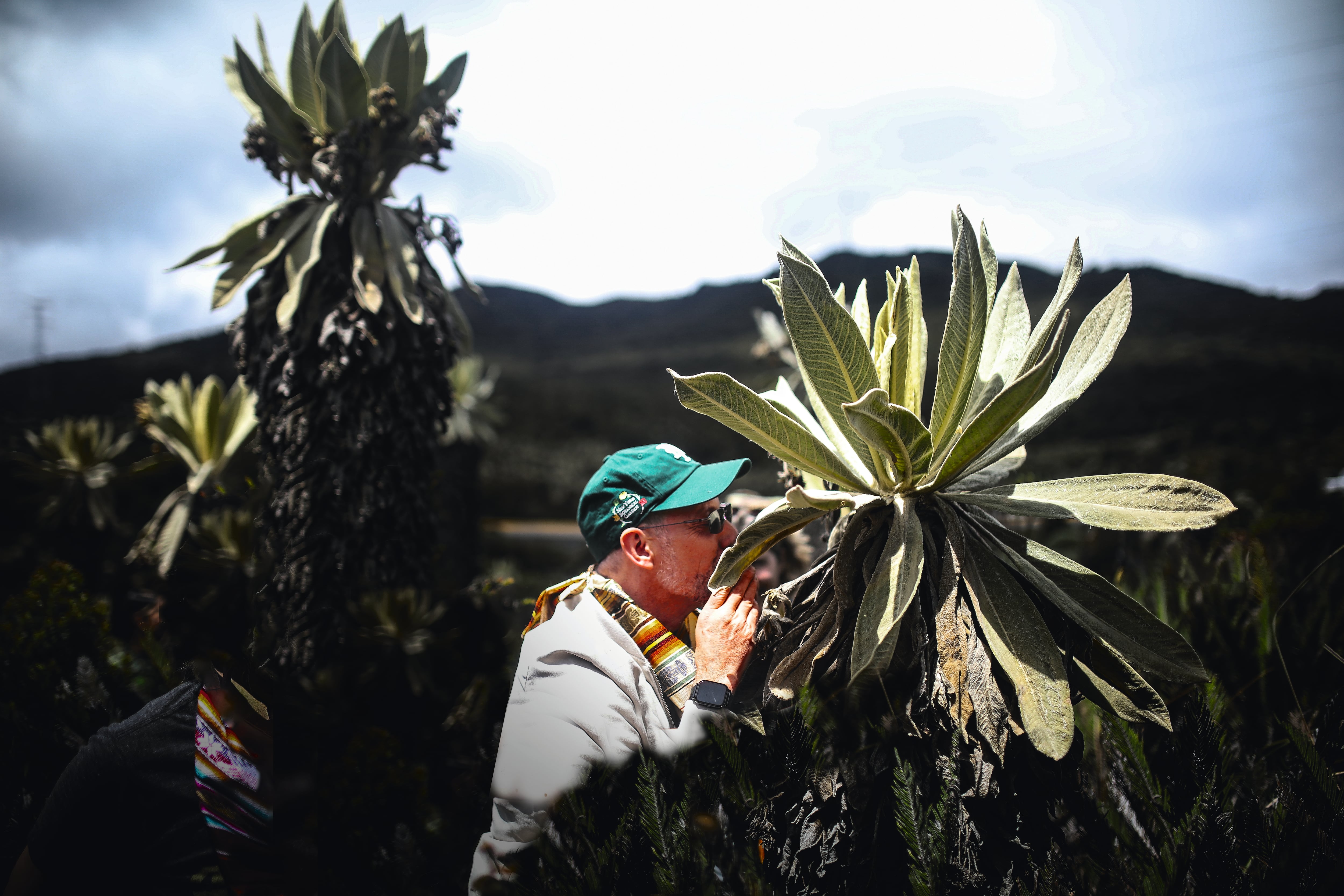 MAURICIO DIAZGRANADOS  - Cumbre de Sostenibilidad - SEMANA Sostenible