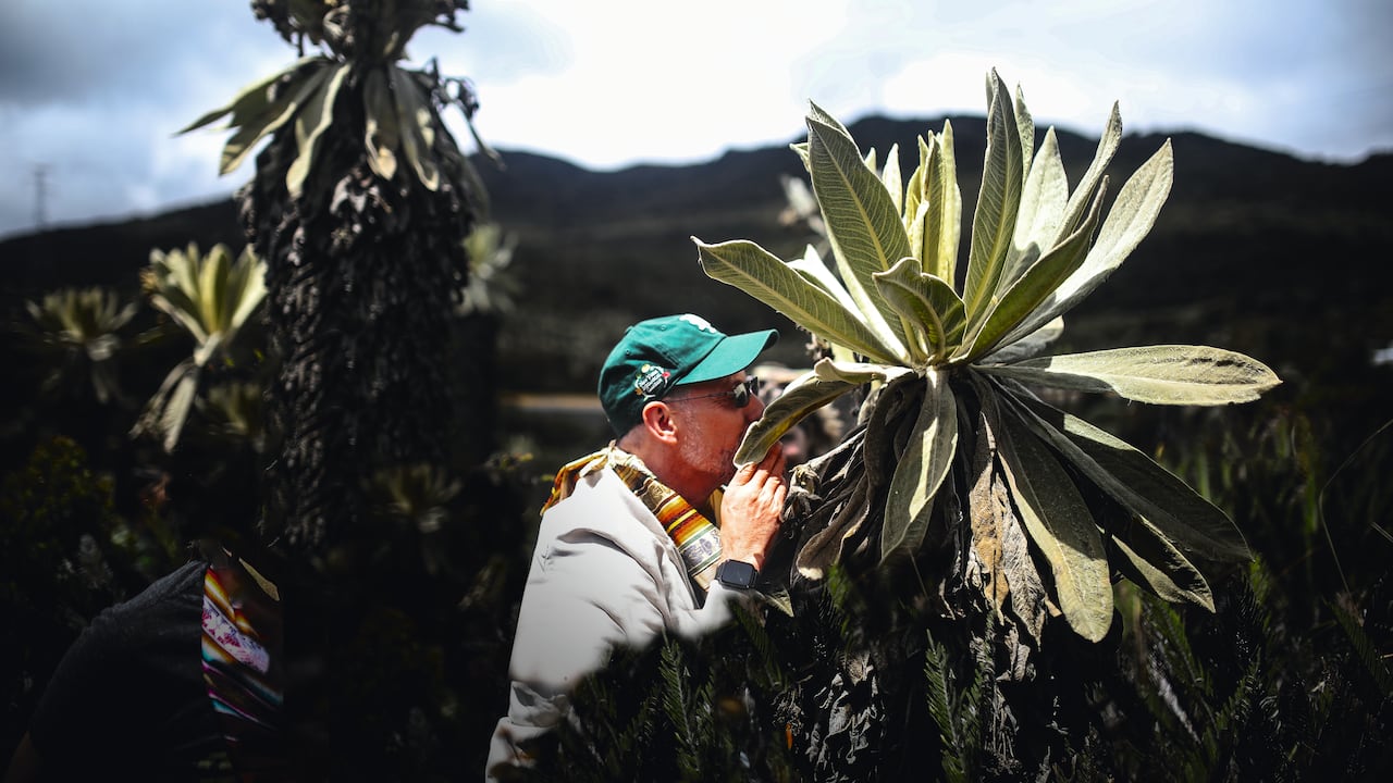 Mauricio Diazgranados, director del Jardín Botánico de Nueva York.