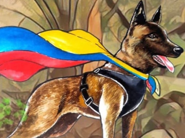 El canino es un pastor belga de 6 años