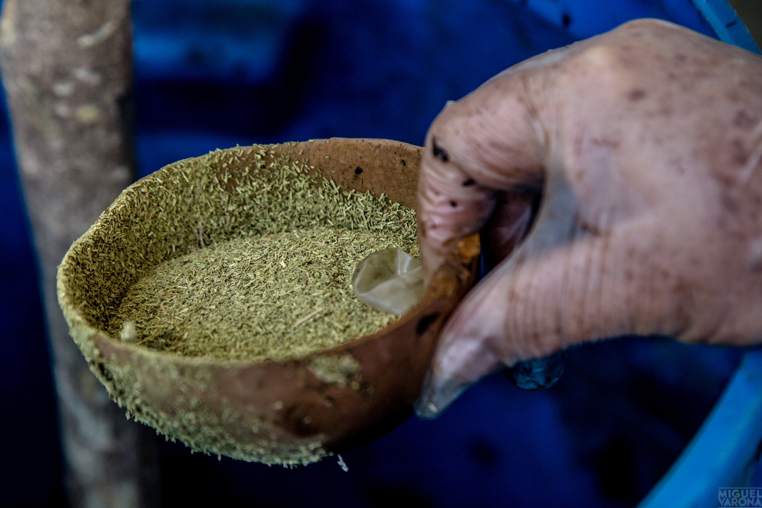La harina de coca tiene un alto contenido de proteínas, nutrientes y sustancias que ayudan a la rápida metabolización.
