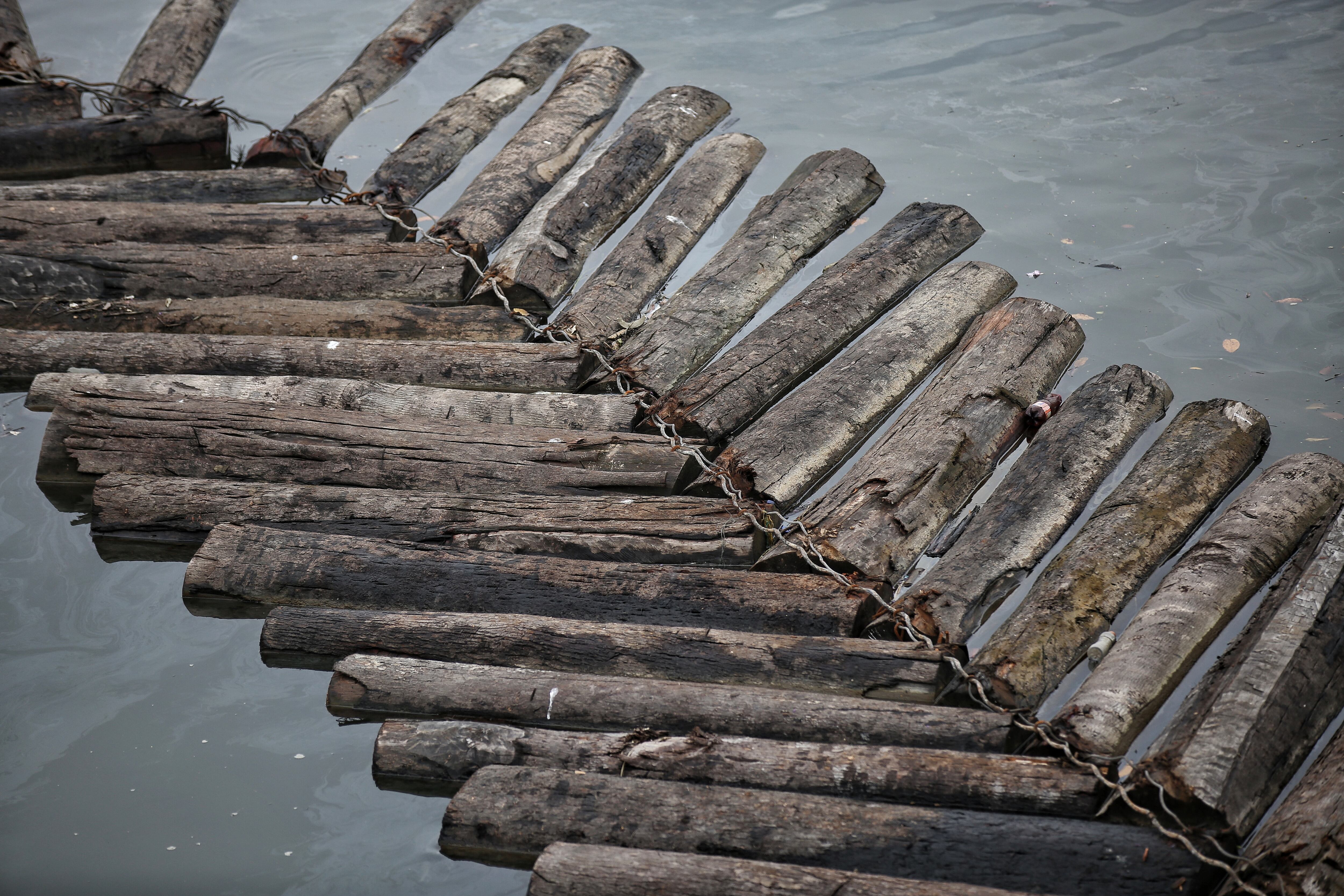 FOTO: ESTEBAN VEGA LA-ROTTA
OPERATIVO DE LA POLICIA NACIONAL PARA MITIGAR EL TRAFICO DE MADERA EN BUENAVENTURA
MADERA ILEGAL 
DEFORESTACION
OPERACION ALIANZA PACÍFICO
REVISTA SEMANA
25 DE MAYO 2022
