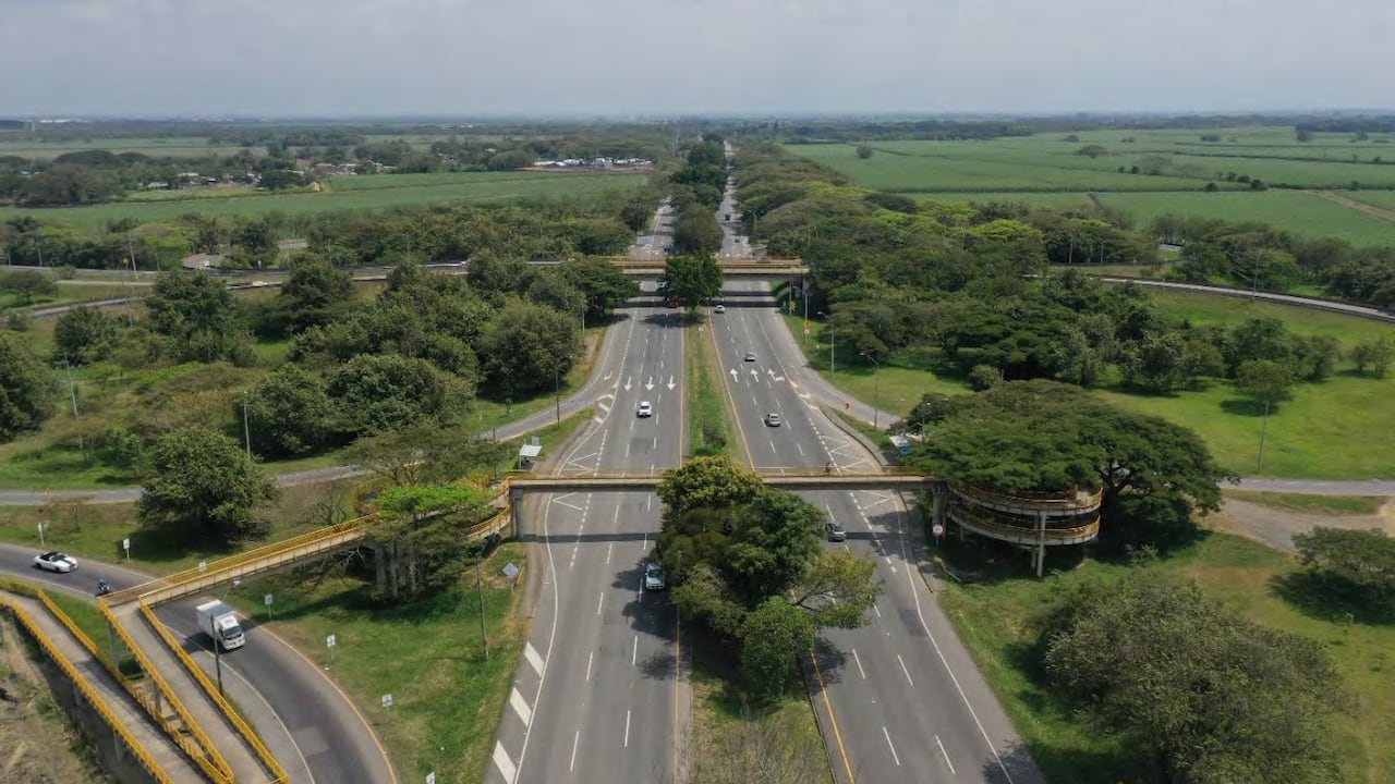 Grupo Colpatria, esa lógica orienta la forma de desarrollar proyectos en sectores estratégicos como infraestructura, energía, vivienda y servicios financieros.