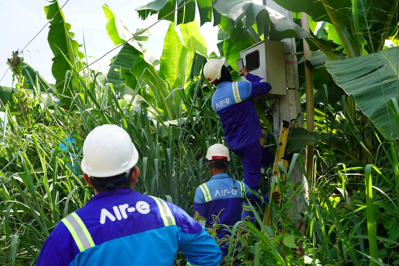 Las fincas comercializan banano y habían puesto para ello conexiones fraudulentas