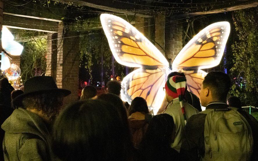 Este es un plan familiar