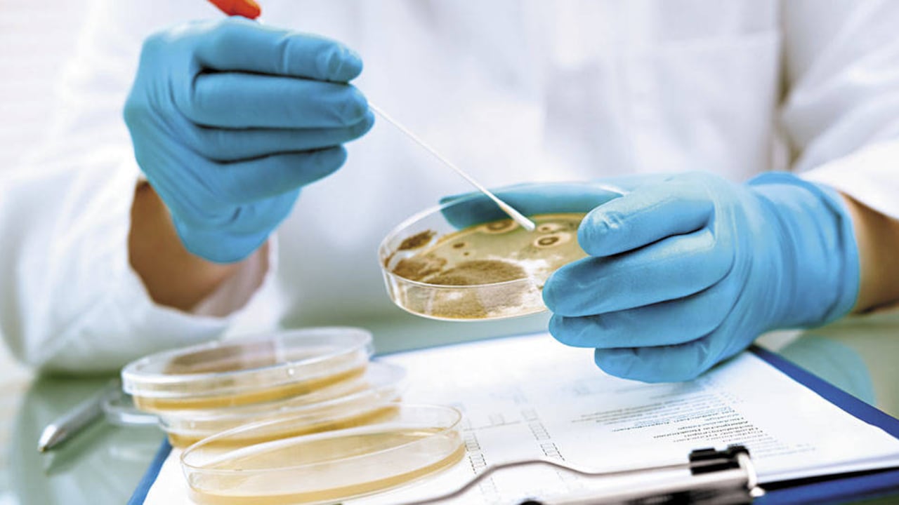 La enfermedad del cambio climático