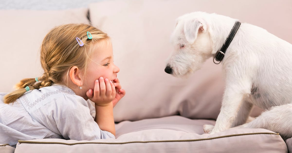 La conexión entre los humanos y los perros es tan íntima y fuerte que diversas investigaciones han demostrado que los canes logran conocer tanto a su amo que pueden identificar si está triste, enfadado o, inclusive, enfermo.