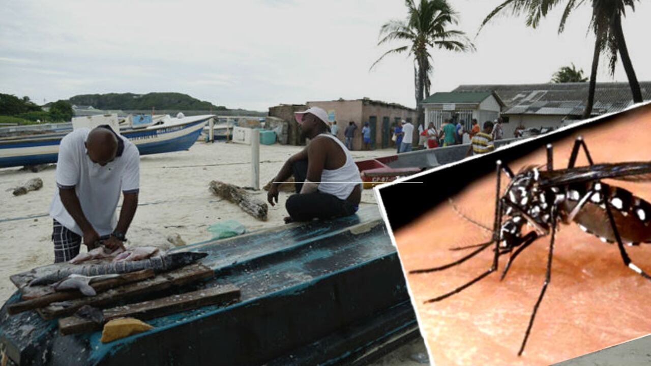 El Ministerio de Salud advirtió sobre la posible congestión de los centros de salud ante un eventual brote.