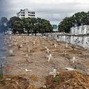 La imagen de las tumbas improvisadas en Río de Janeiro, Brasil, da una dimensión del problema. El país es el segundo con más muertes covid totales después de Estados Unidos. Ya supera las 143.000.