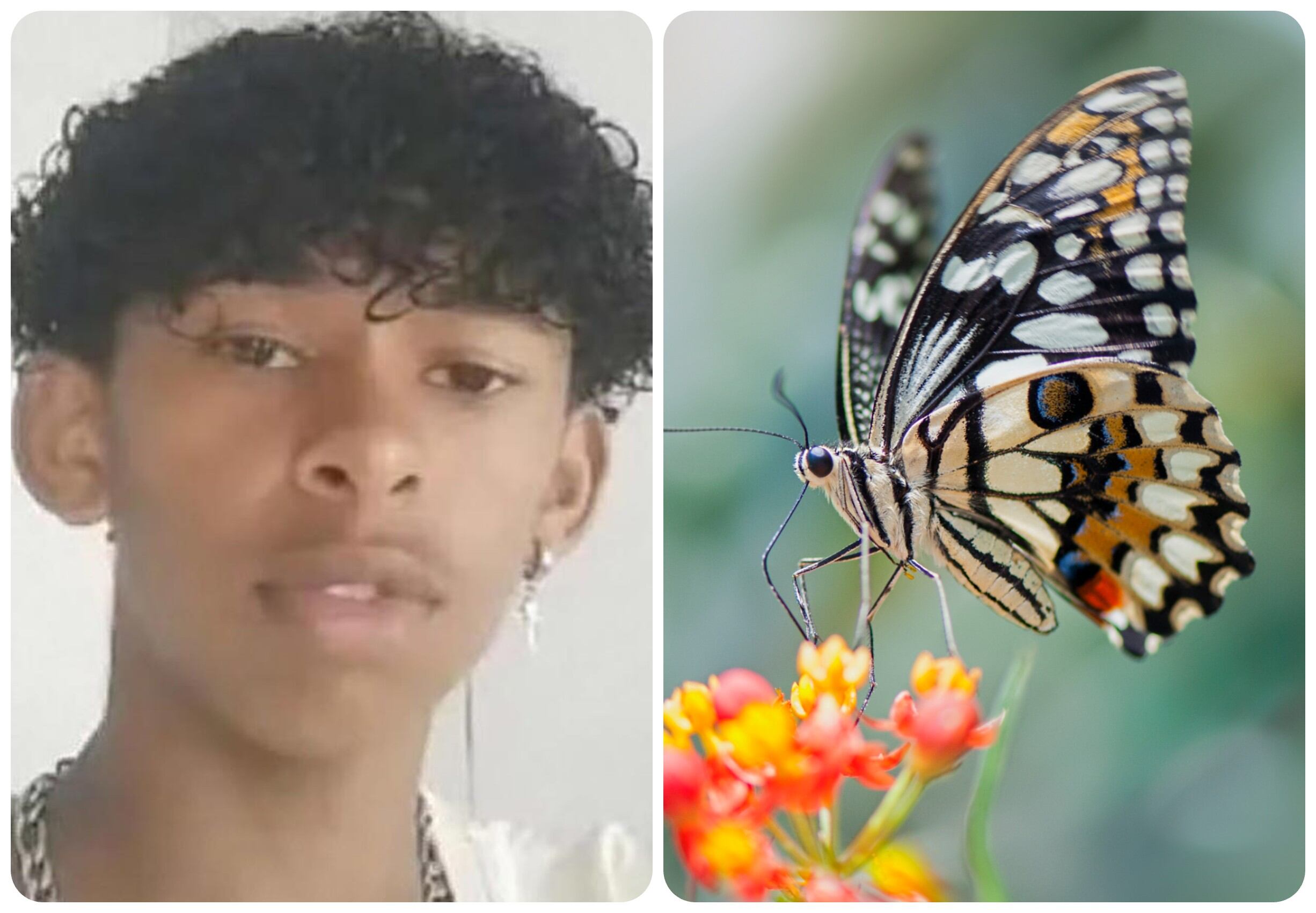 El adolescente le dijo a su padre que se había lastimado mientras jugaba, pero luego confesó lo que realmente sucedió cuando continuó enfermando