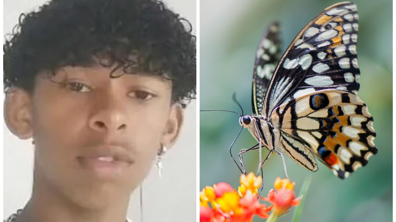 El adolescente le dijo a su padre que se había lastimado mientras jugaba, pero luego confesó lo que realmente sucedió cuando continuó enfermando