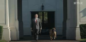 Painkiller es una de las nuevas series exitosas de Netflix.