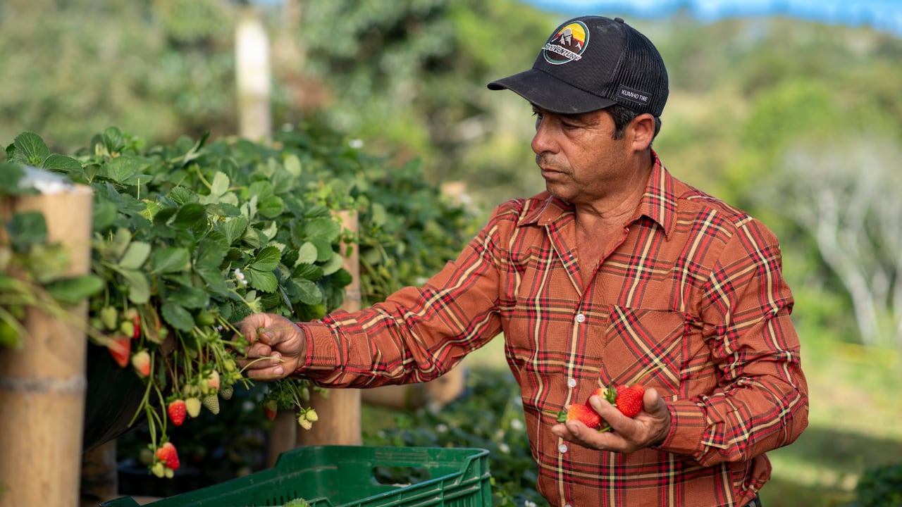 ¿Por qué el desarrollo rural es la clave para el futuro de Antioquia? Este es el compromiso de Comfama