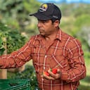 ¿Por qué el desarrollo rural es la clave para el futuro de Antioquia? Este es el compromiso de Comfama