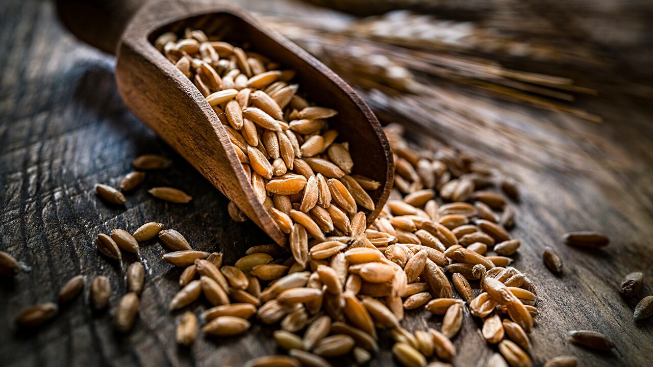 Farro para la diabetes y bajar de peso.