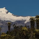 Islas del Cielo es una de las producciones audiovisuales que concursa en el festival. Es el proyecto de una bióloga con maestría en realización audiovisual que busca llamar la atención sobre la importancia de la conservación de los páramos.