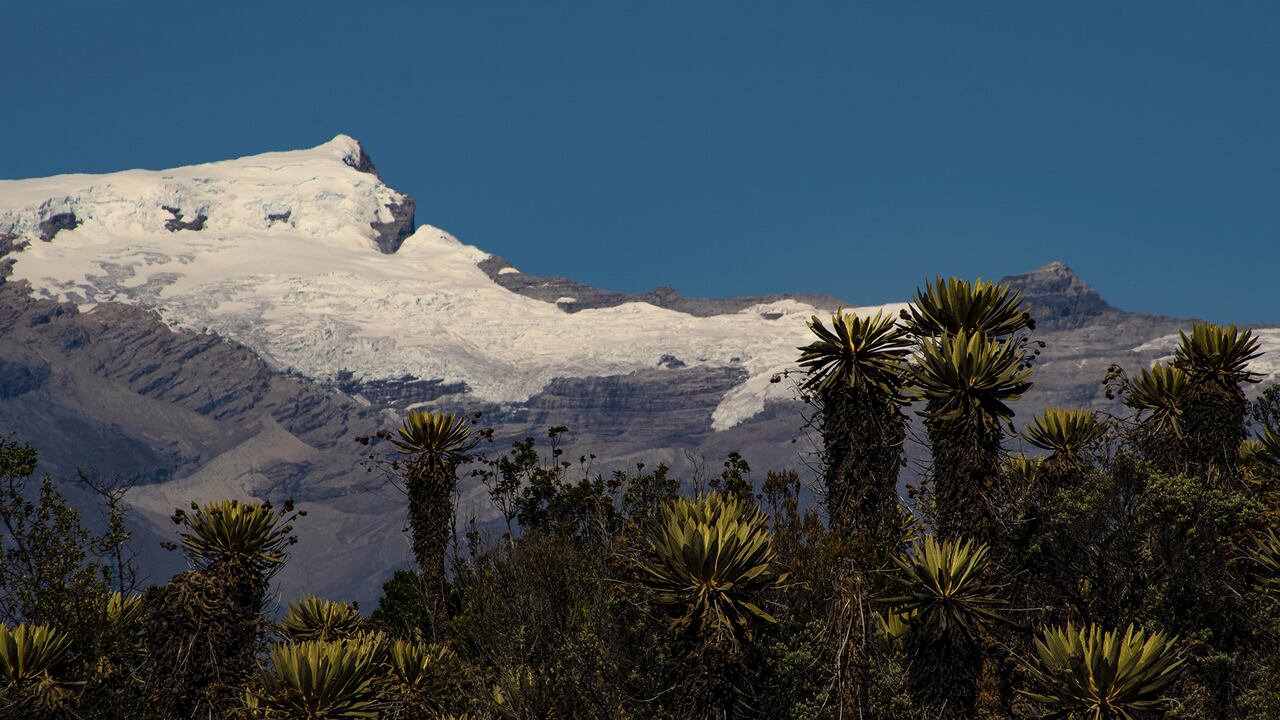 Islas del Cielo es una de las producciones audiovisuales que concursa en el festival. Es el proyecto de una bióloga con maestría en realización audiovisual que busca llamar la atención sobre la importancia de la conservación de los páramos.